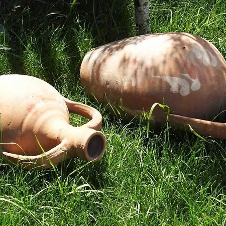 Oda ve Kahvaltı Küçükköy Otel *